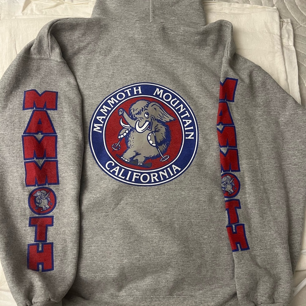 Gray Mammoth Hoodie with Red and Blue Accents